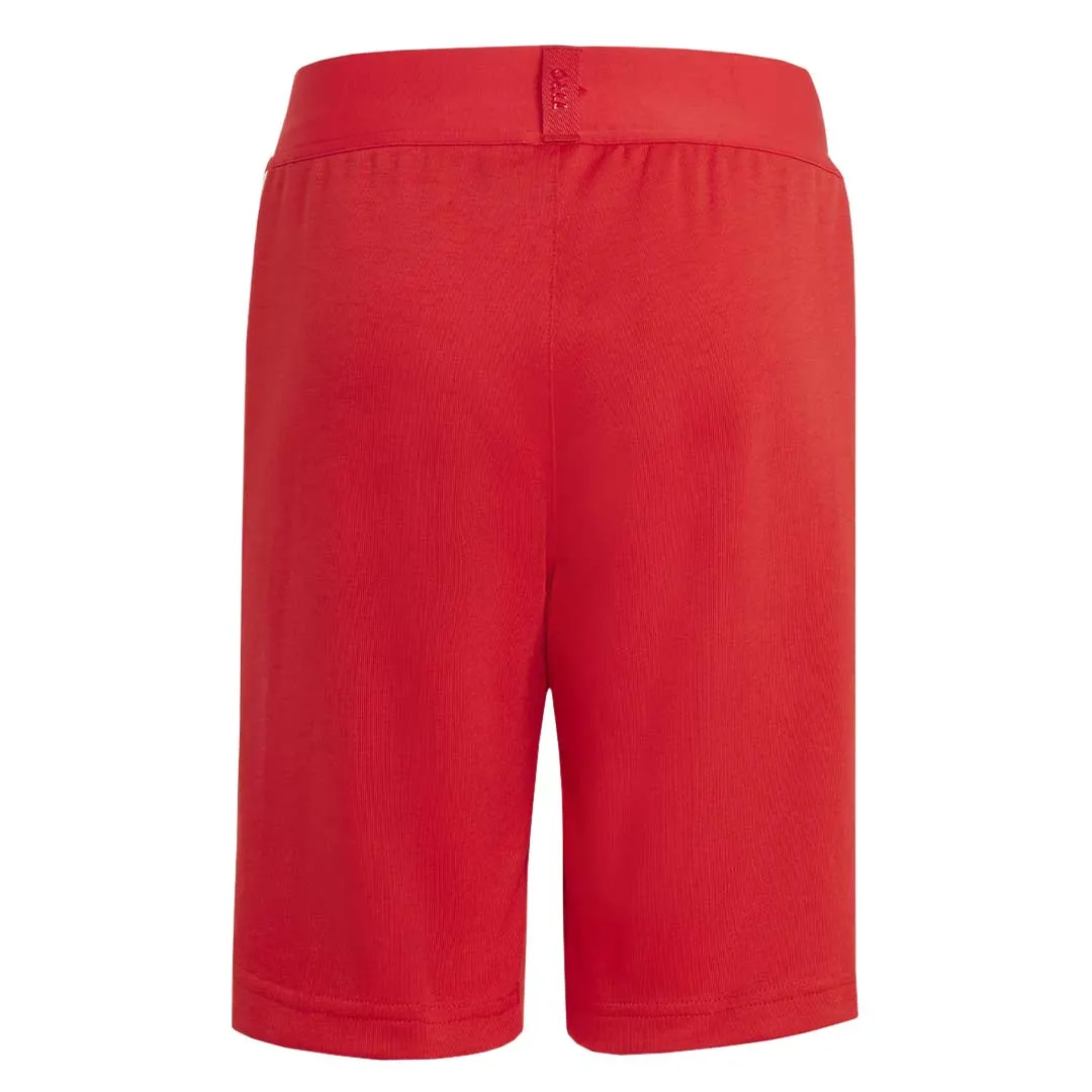 adidas - Kids' (Junior) Tiro Shorts (HY4224)