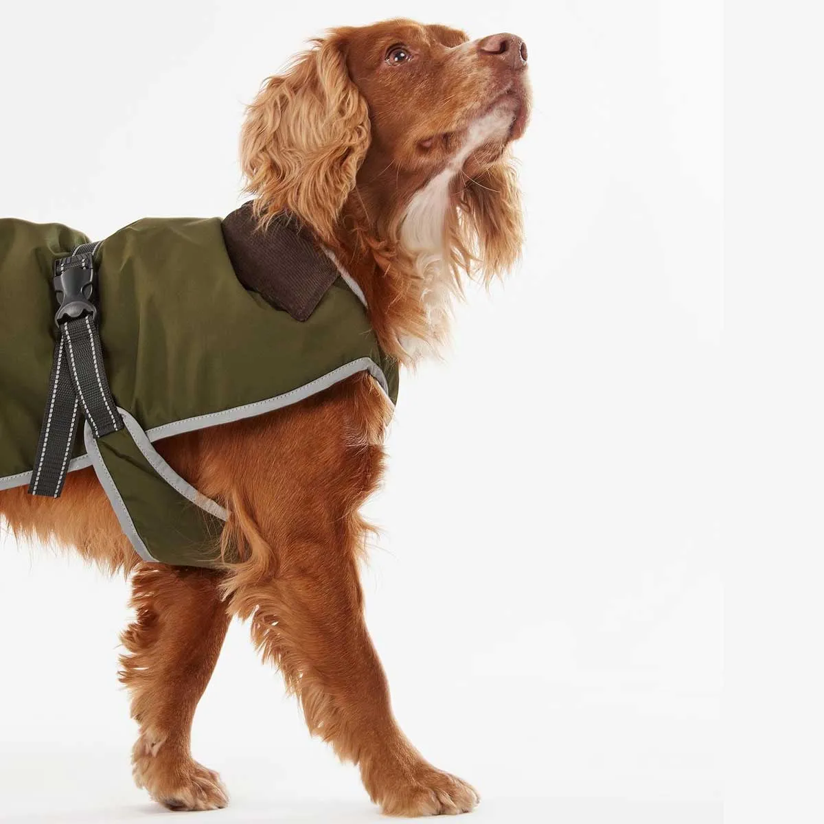 BARBOUR Monmouth Waterproof Dog Coat - Olive