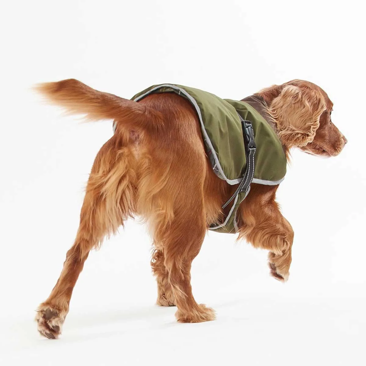 BARBOUR Monmouth Waterproof Dog Coat - Olive