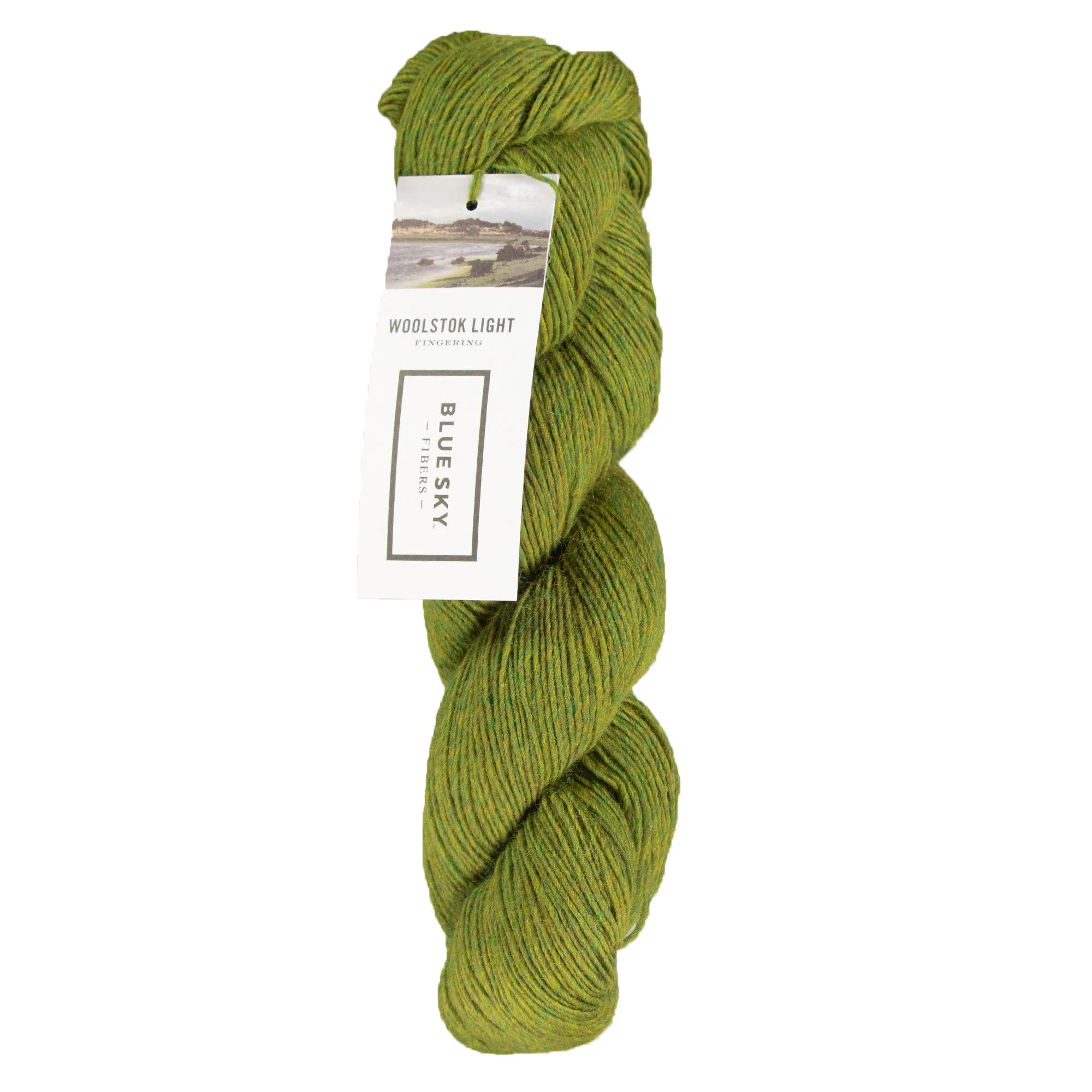 Blue Sky Fibers Woolstok Light Yarn - 2309 Earth Ivy