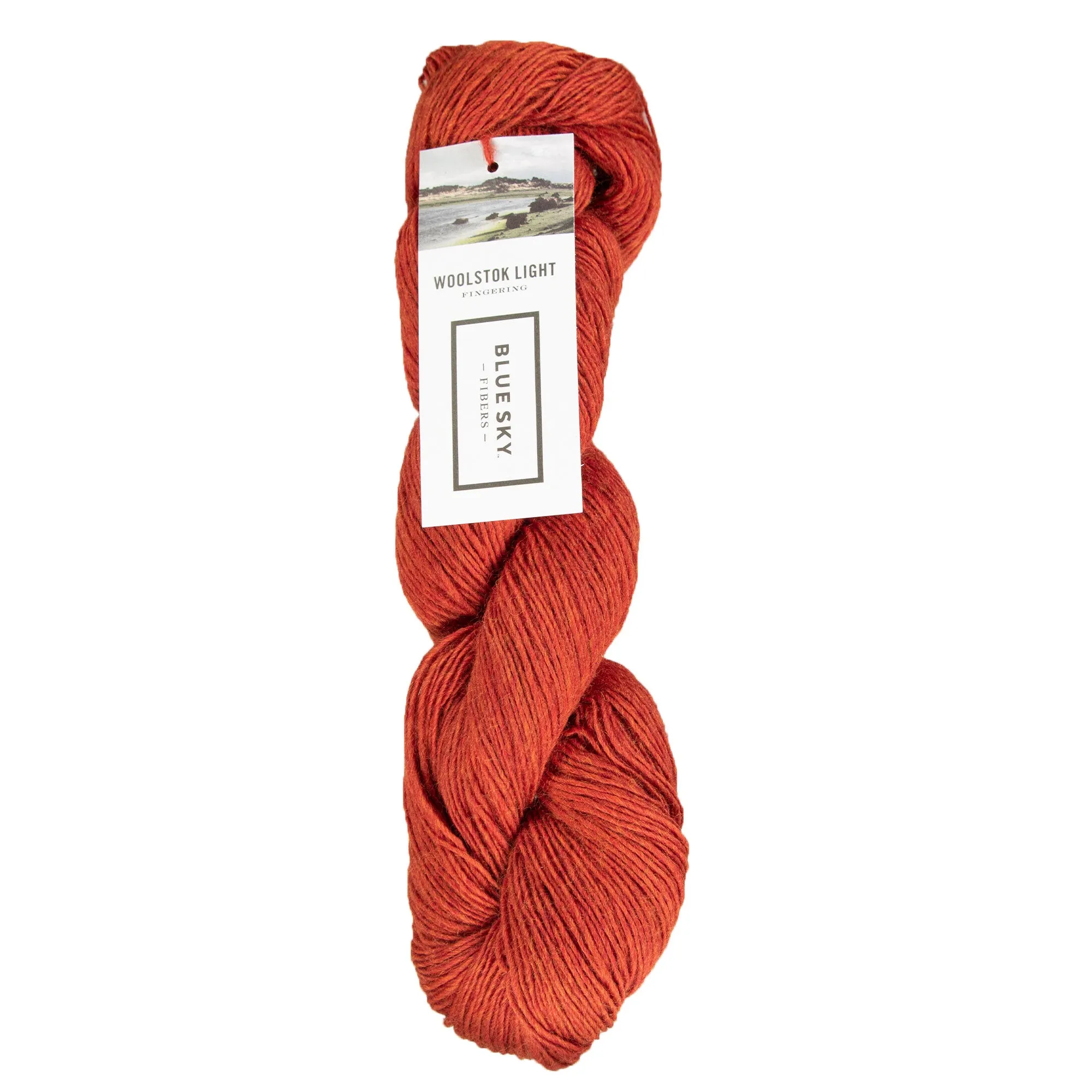 Blue Sky Fibers Woolstok Light Yarn - 2311 Rusted Roof