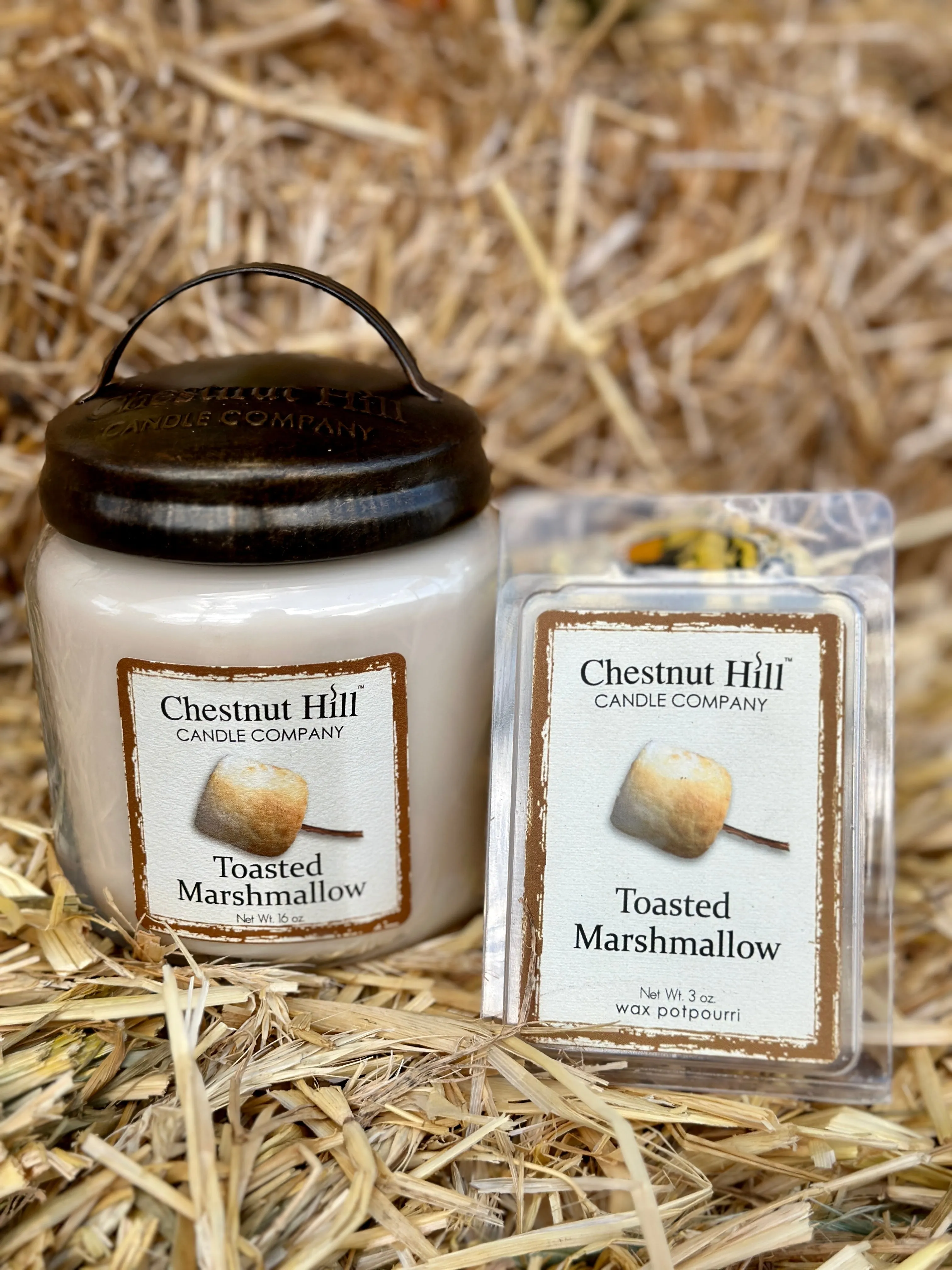 Chestnut Hill Fall 16oz Candles