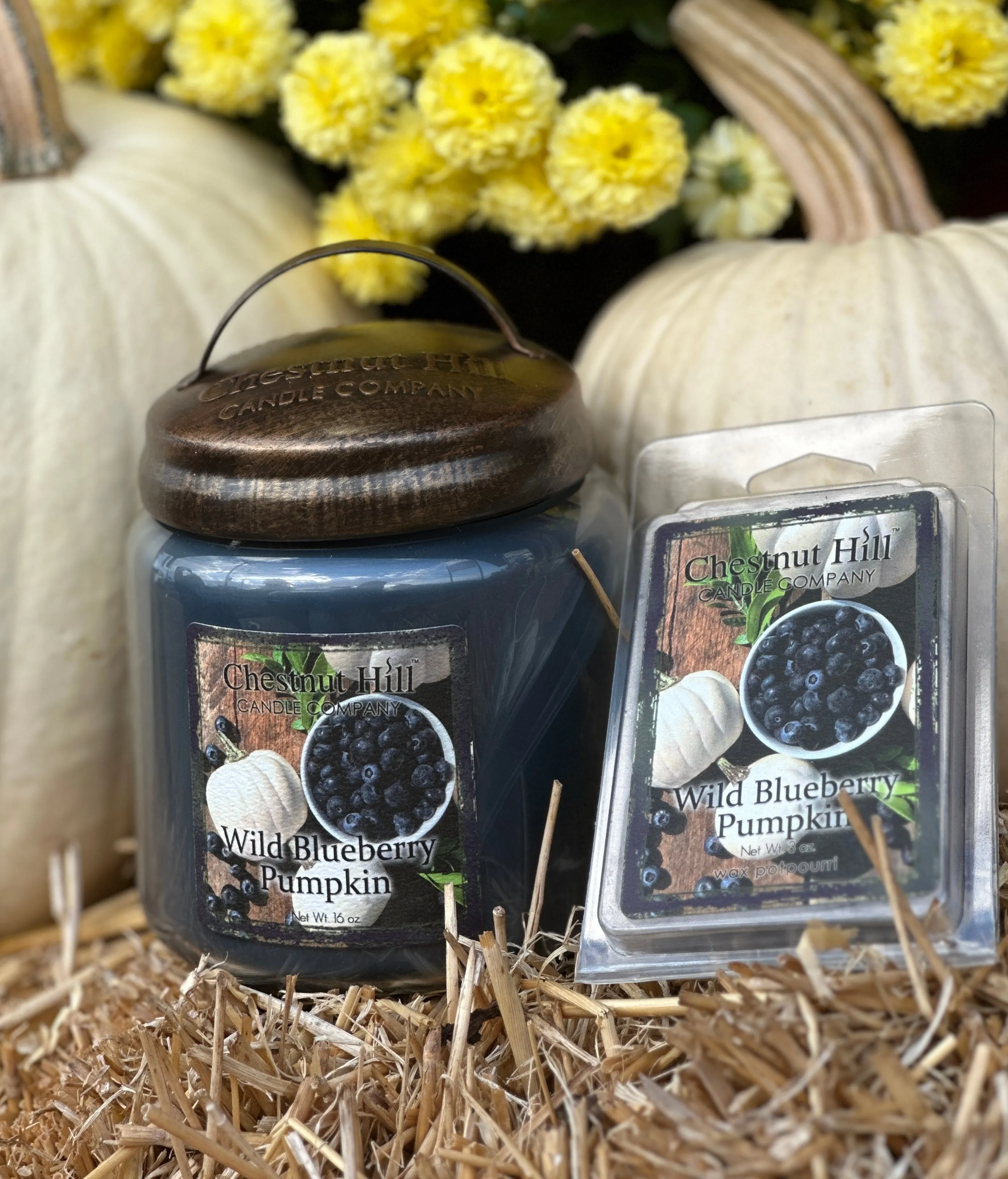 Chestnut Hill Fall 16oz Candles