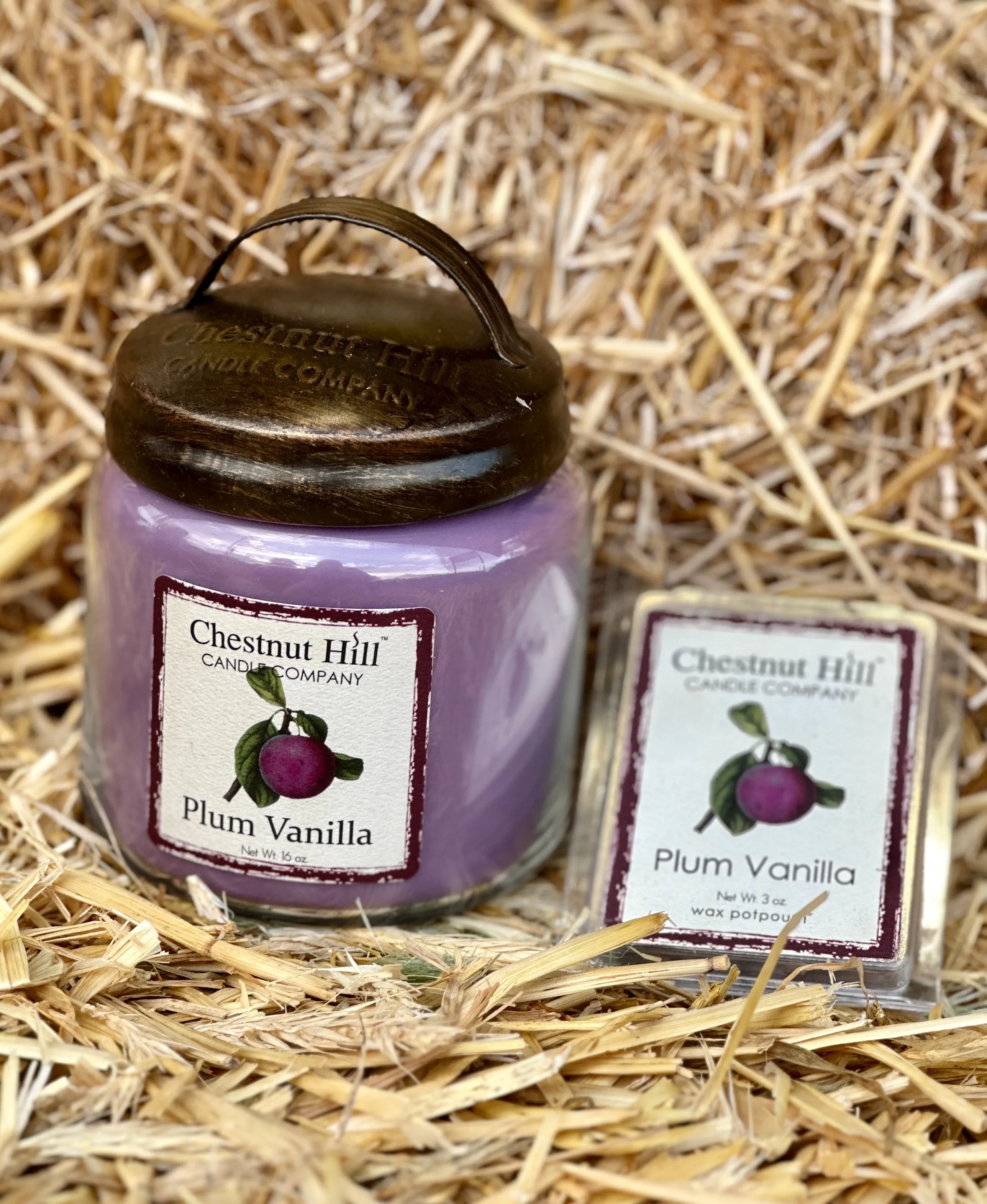 Chestnut Hill Fall 16oz Candles