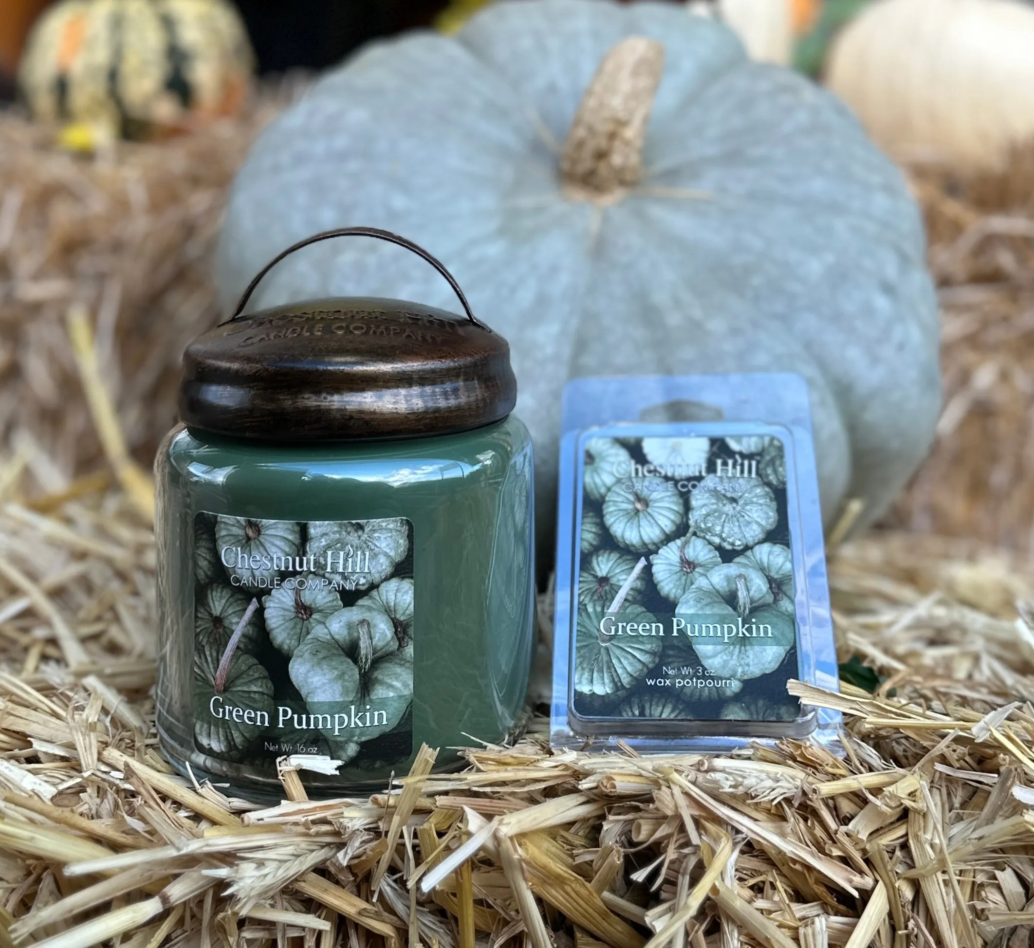 Chestnut Hill Fall 16oz Candles