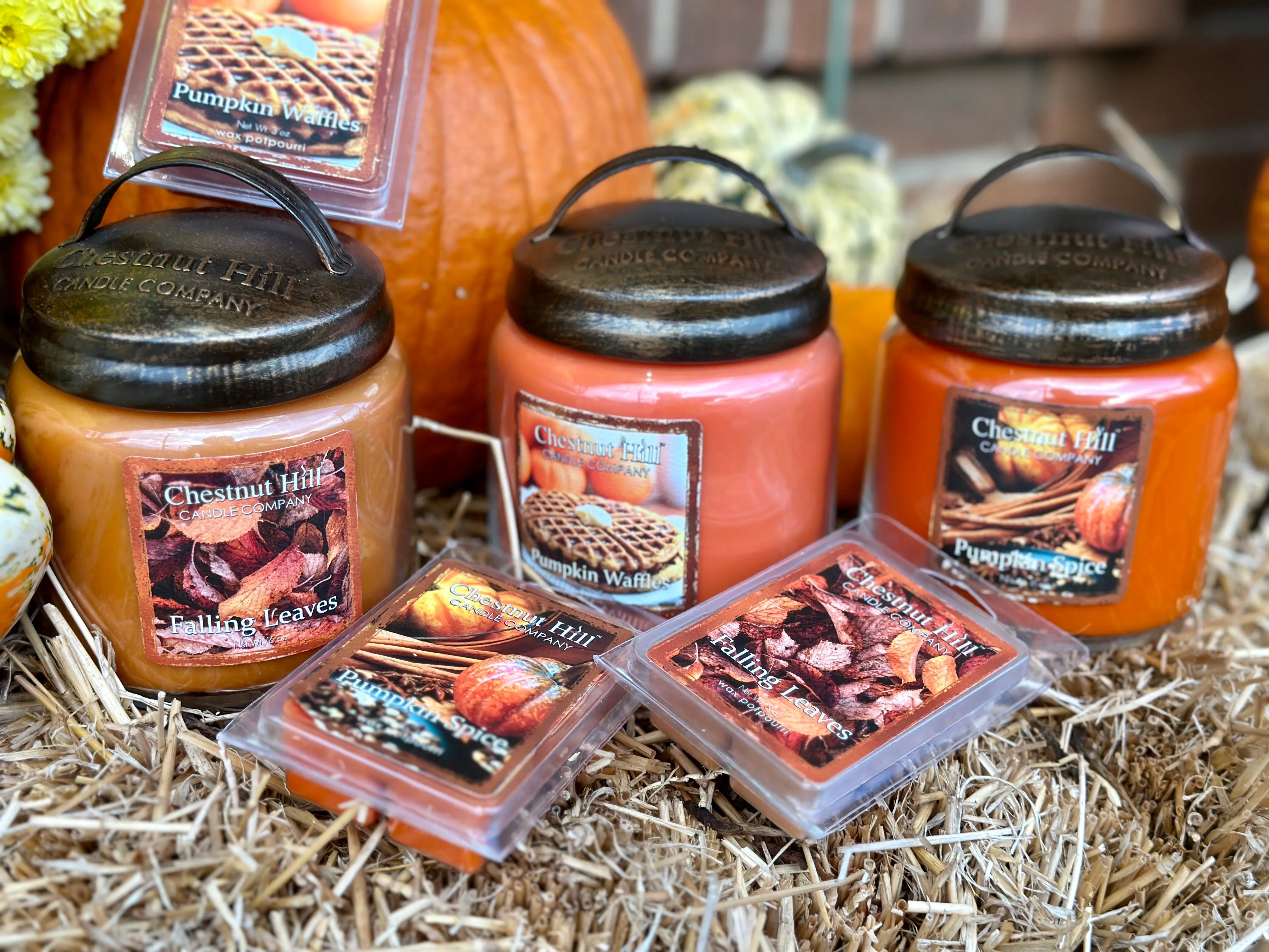 Chestnut Hill Fall 16oz Candles